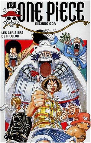 One piece 17